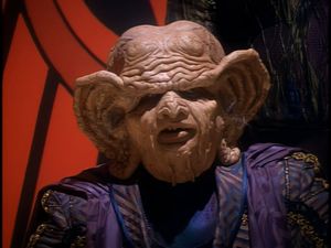 Close-up of the face of the Nagus. He is very wrinkly and has massive hairy ears.