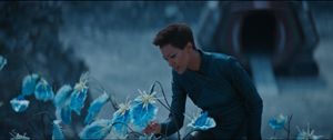 We are on the surface of a rock planet, and we can see a shuttlecraft in the distance. Michael Burnham is here. She bends over to take  a closer look at some delicate blue flowers.
