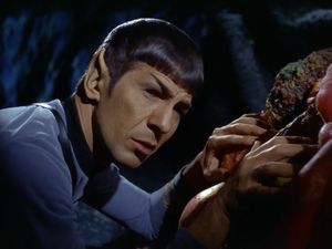 In a dark blue cave, a concerned Spock is touching a surface  that might be organic or might be rock. Is he mind melding with a silicon based lifeform?