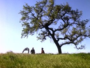 A grassy hilltop crowned by a massive ancient tree. It's a sunny day. Two figures sit under the tree, next to an ornate alien grave marker.