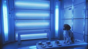 Porthos is alone in a big, empty, blue-lit decontamination room. He is sitting quietly, because he is a very good boy.