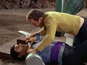 Kirk has Spock pinned down with a weird-looking Vulcan  weapon called a lirpa, which is a kind of spear thing with a flange at the end.